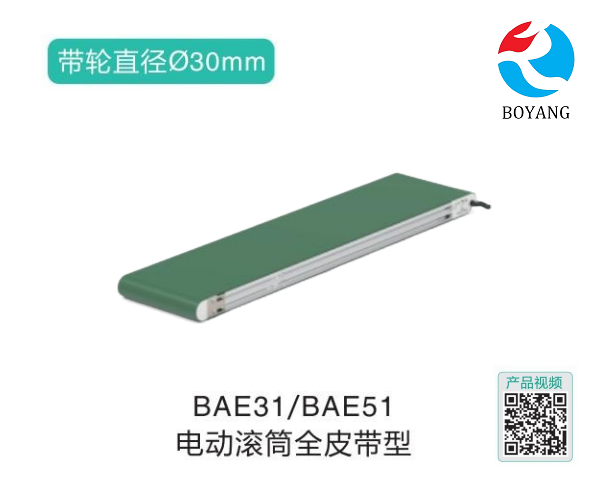 電動滾筒全皮帶型BAE31/BAE51輸送機(jī)